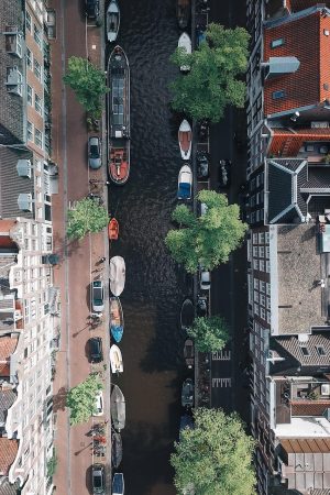 2026年自然纪录片封面，航拍视角俯瞰热带雨林，绿意盎然光影斑驳